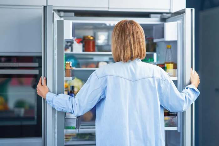 Hitachi refrigerator benefits