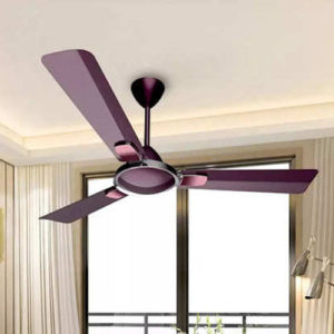 What are Ceiling Fans