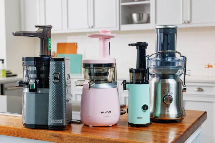 Fruit Juicer Types