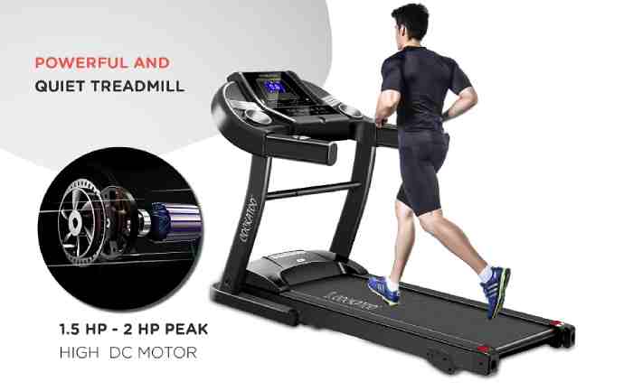 Cockatoo treadmill