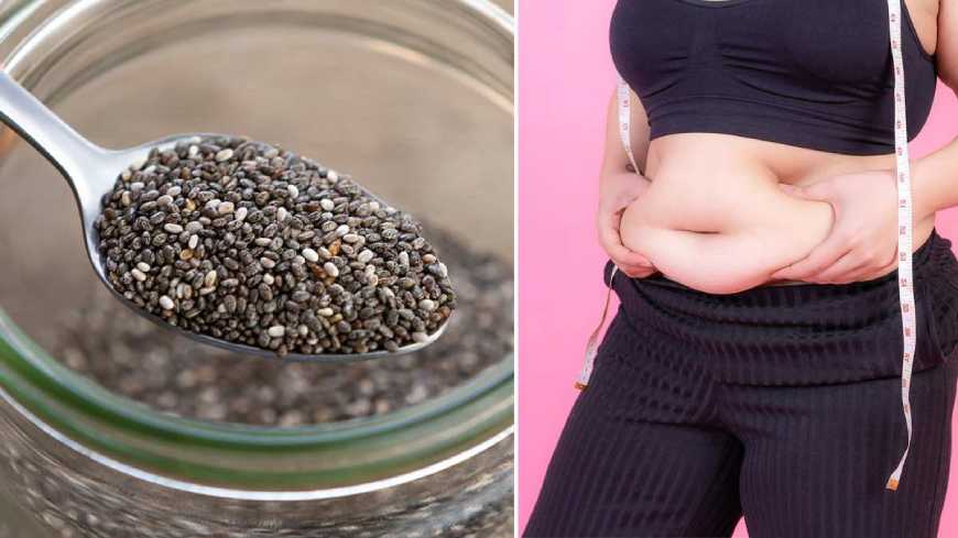 Exploring the Health Benefits of Chia Seeds for Weight Loss