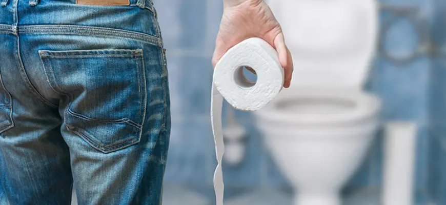 The Quest for the World's Best Toilet Paper Brands