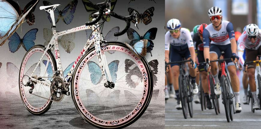 Trek Madone Butterfly by Damien Hirst