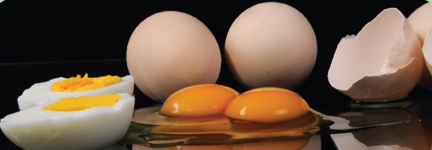 Keggfarms Eggs